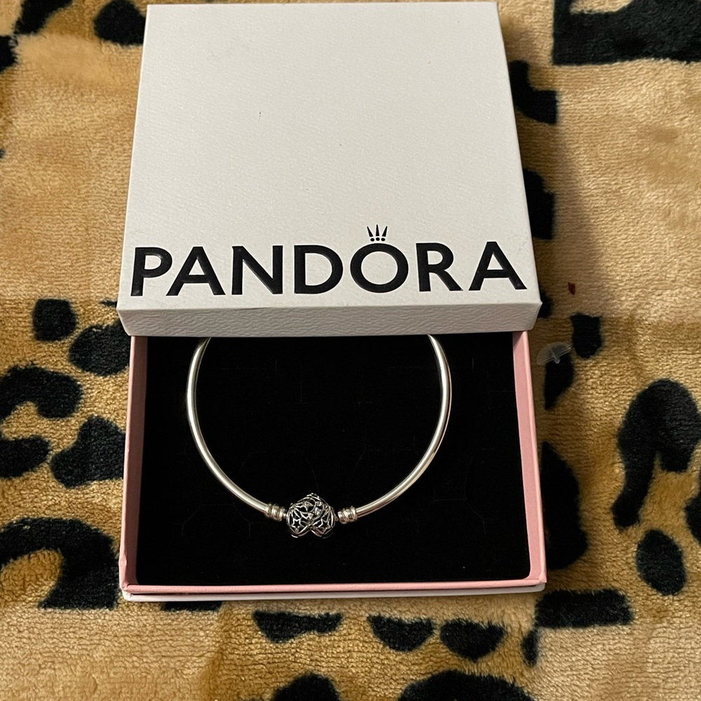 Pandora Silver Bracelet with Intricate Charm